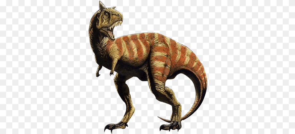 Carnotaurus Means Quotmeat Bull Dinosaurs With 4 Fingers, Animal, Dinosaur, Reptile, T-rex Png Image