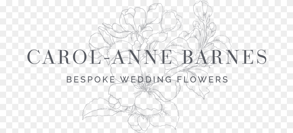 Carol Anne Barnes Horizontal Watermark Grey Floral Design, Weather, Outdoors, Nature, Ice Png