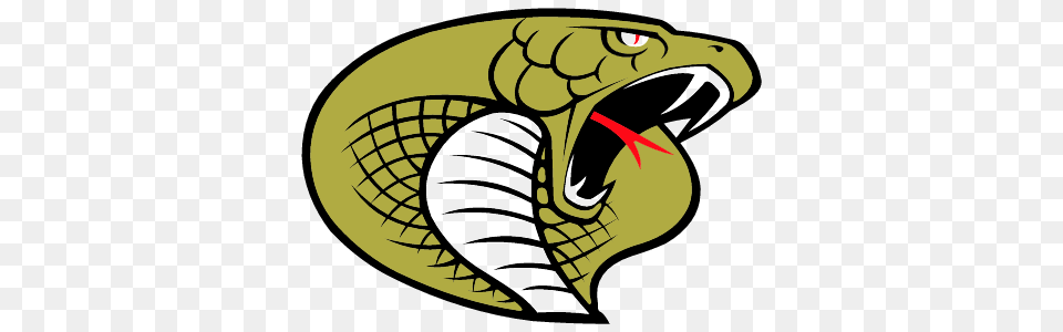 Carolina Cobras Logos Kostenloses Logo, Animal, Cobra, Reptile, Snake Png