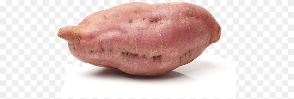 Carolina Innovative Food Ingredients Sweet Potato, Plant, Produce, Sweet Potato, Vegetable Png Image