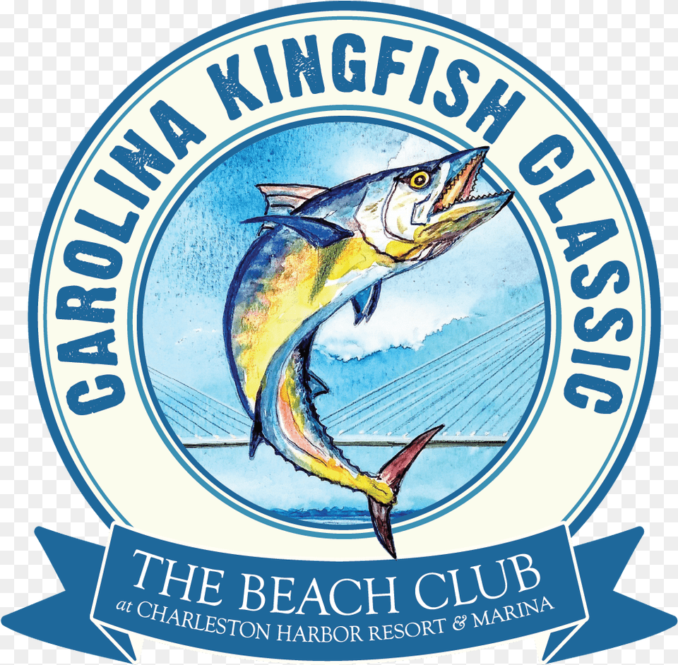 Carolina Kingfish Classic, Animal, Fish, Sea Life, Tuna Free Png