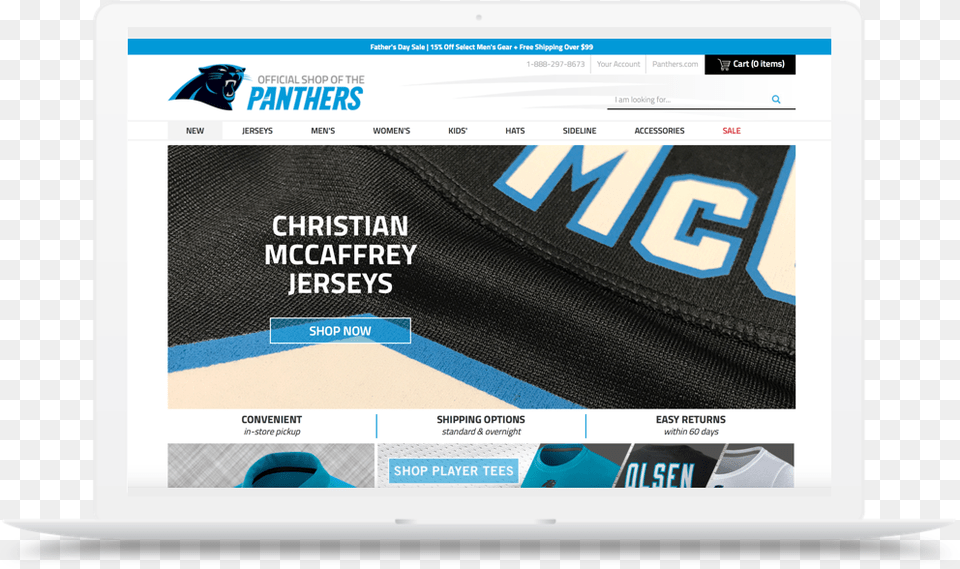 Carolina Panthers, File, Computer, Electronics Free Png