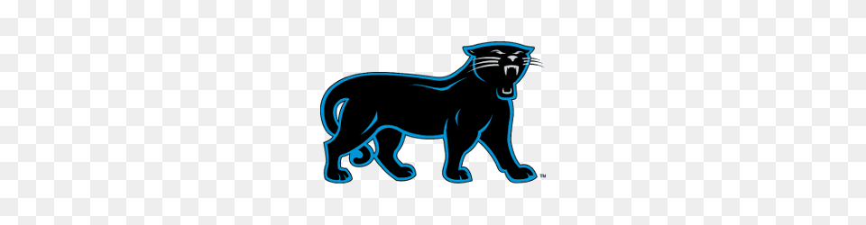 Carolina Panthers Alternate Logo Sports Logo History, Smoke Pipe, Animal, Mammal, Panther Free Png