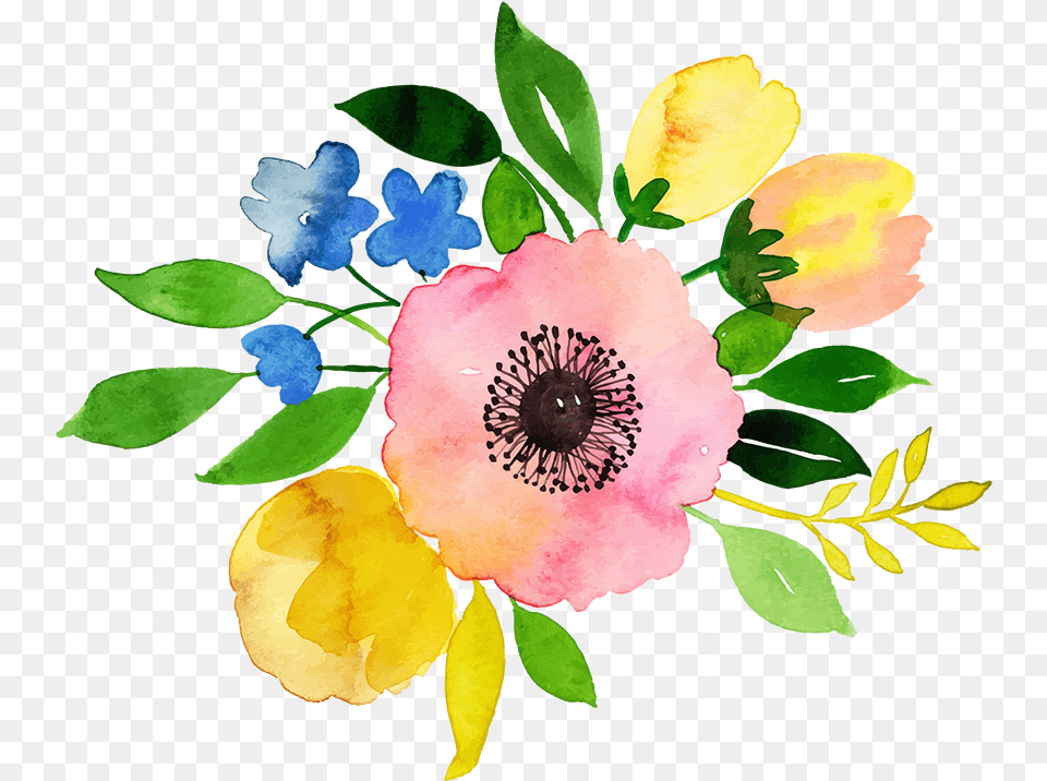 Carolina Rose, Anemone, Flower, Petal, Plant Png
