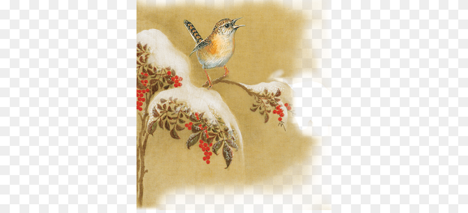 Carolina Wren, Animal, Bird, Pattern Png Image