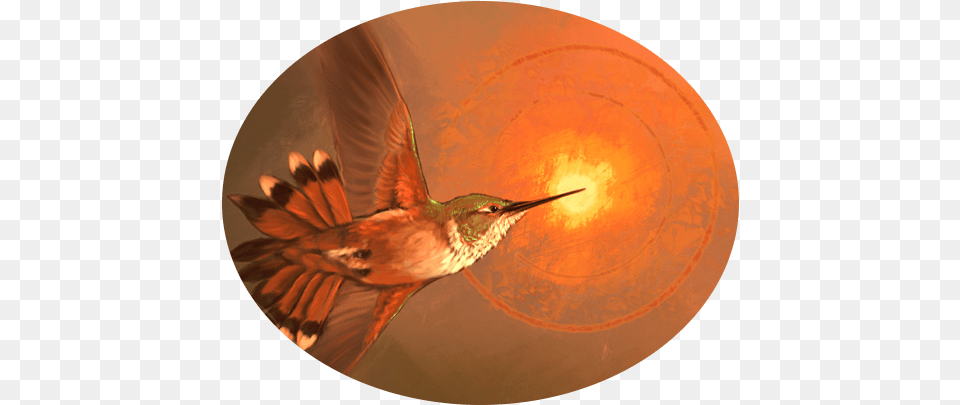 Carolina Wren, Animal, Bird, Hummingbird Free Transparent Png