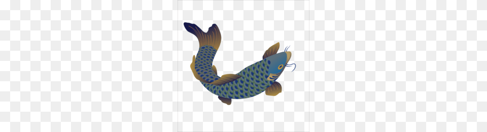 Carp Clipart, Animal, Fish, Sea Life, Koi Free Transparent Png