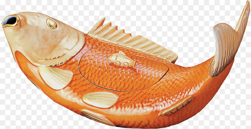 Carp Tureen Fish Products, Animal, Sea Life Png Image