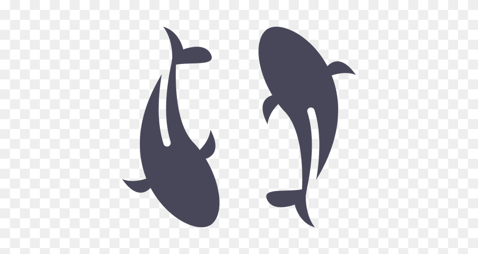 Carpa Koi Icon, Animal, Sea Life, Mammal, Fish Free Png