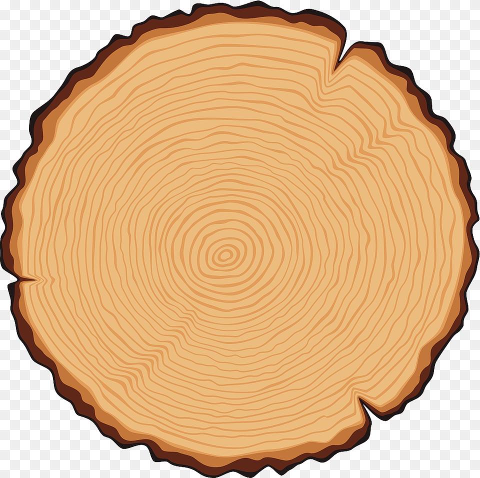 Carpentry Art And Madness Tree Stump Clipart, Lumber, Plant, Wood, Plate Free Transparent Png