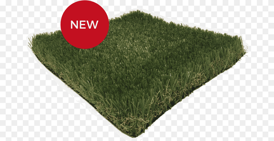 Carpet, Moss, Grass, Plant, Field Free Transparent Png
