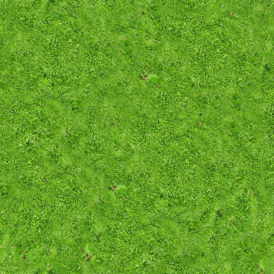 Carpet, Grass, Lawn, Plant, Texture Free Transparent Png