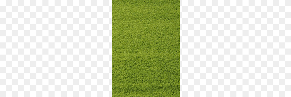Carpet, Grass, Lawn, Plant, Vegetation Png