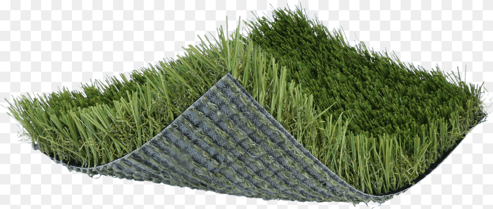 Carpet, Planter, Grass, Jar, Moss Free Png Download