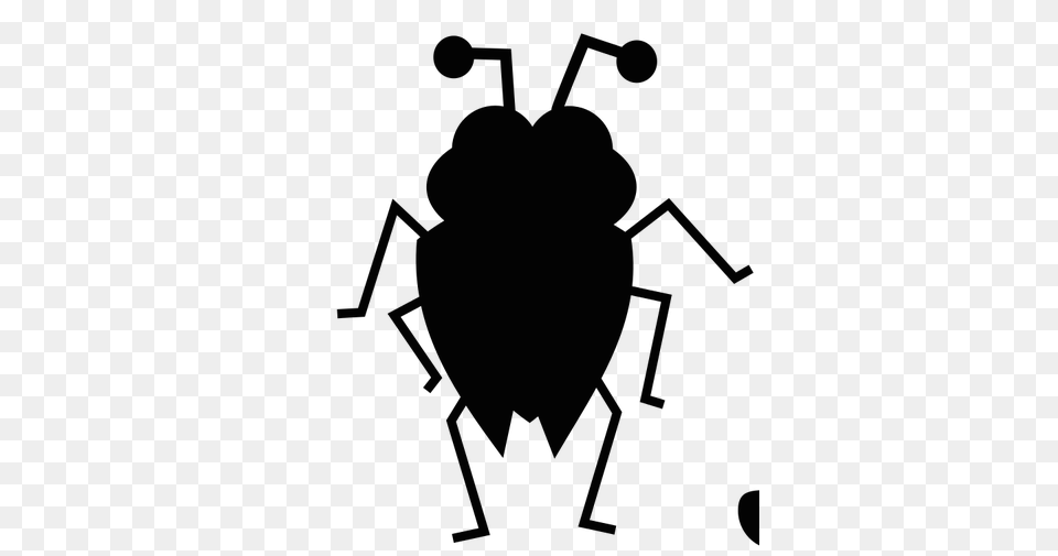 Carpet Beetles, Person Free Png