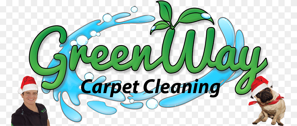 Carpet Cleaning Las Vegas Nv Greenway, Baby, Person, Animal, Canine Free Transparent Png