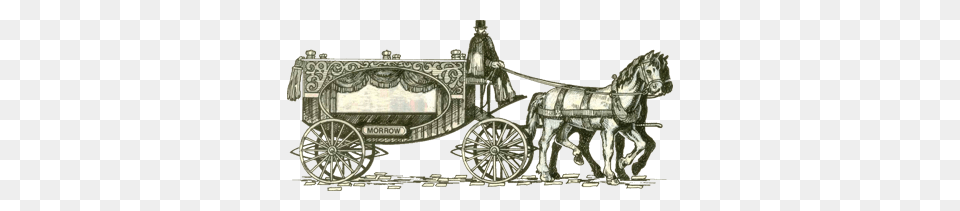 Carriage, Transportation, Vehicle, Wagon, Horse Cart Free Png Download