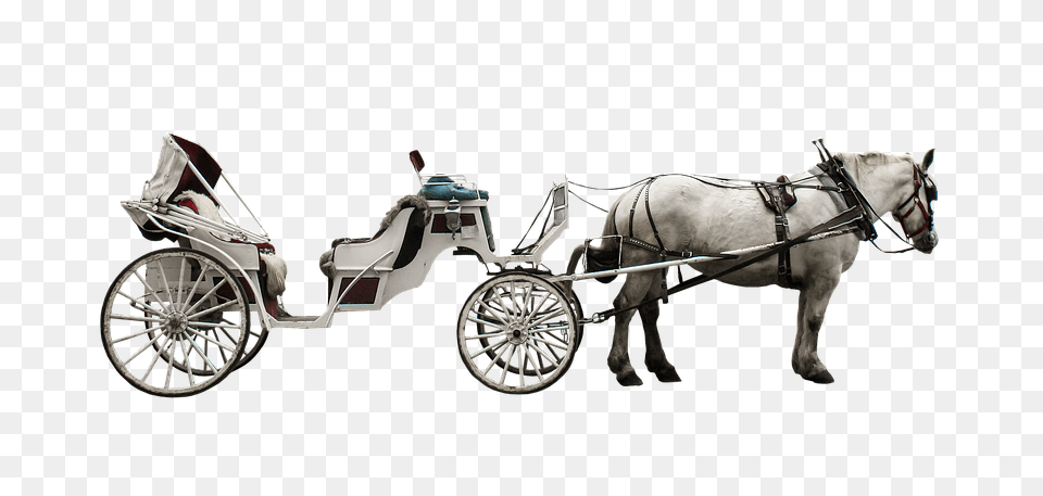 Carriage, Vehicle, Transportation, Animal, Mammal Free Png