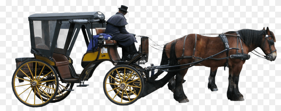 Carriage, Adult, Vehicle, Transportation, Person Png Image