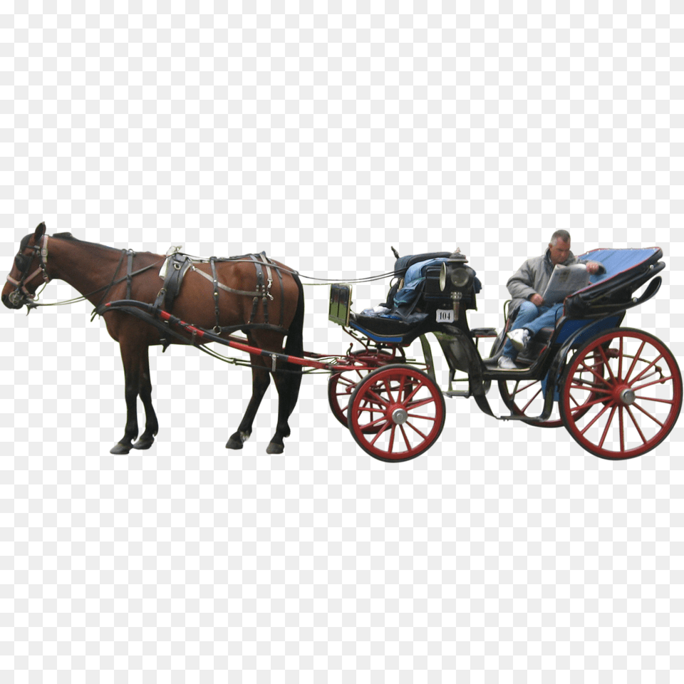 Carriage, Adult, Wagon, Vehicle, Transportation Free Png