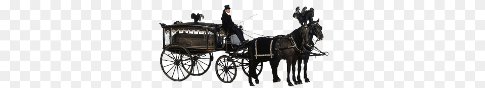 Carriage, Wagon, Vehicle, Transportation, Adult Png