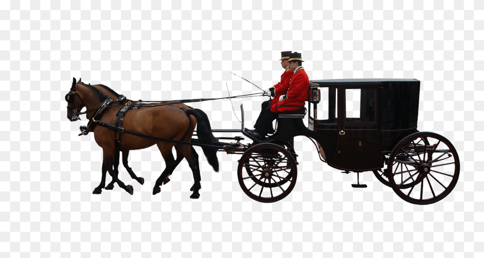 Carriage, Vehicle, Transportation, Adult, Person Png