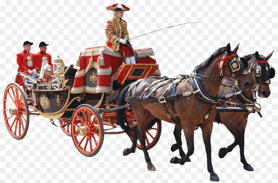 Carriage, Adult, Person, Woman, Female Png Image