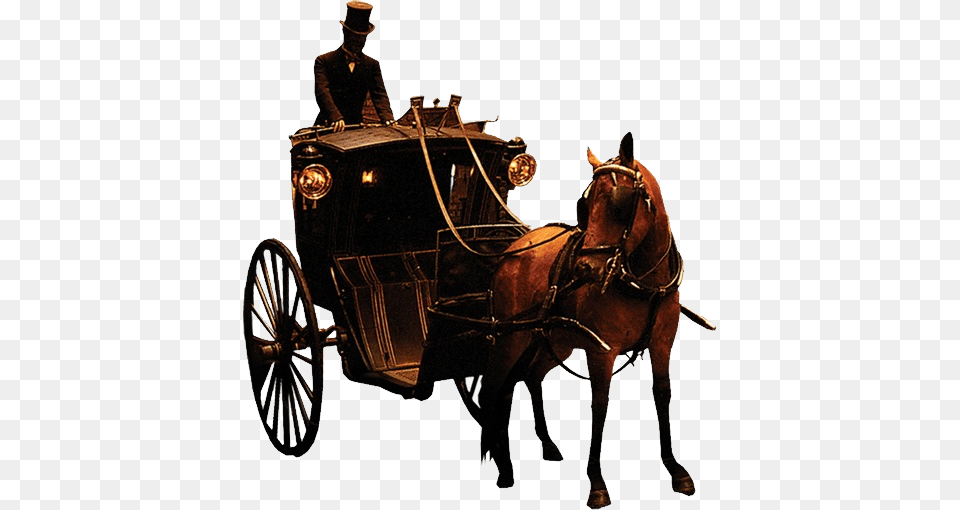 Carriage, Vehicle, Transportation, Adult, Male Png