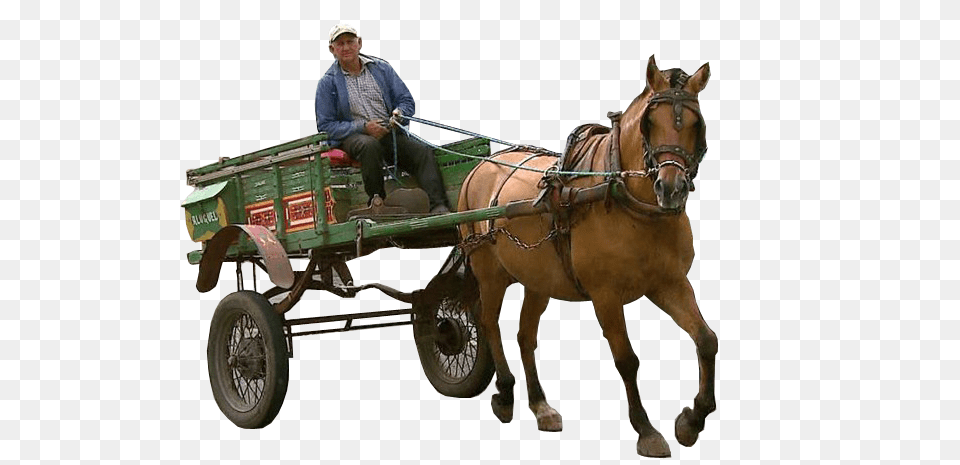 Carriage, Wagon, Vehicle, Horse Cart, Transportation Png