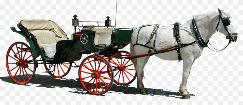 Carriage, Wheel, Machine, Mammal, Horse Free Png Download