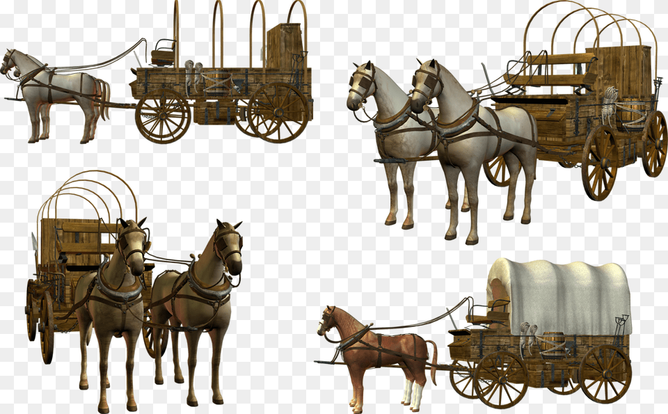 Carriage Egyptian Horse Drawn Calche, Wagon, Vehicle, Transportation, Horse Cart Png