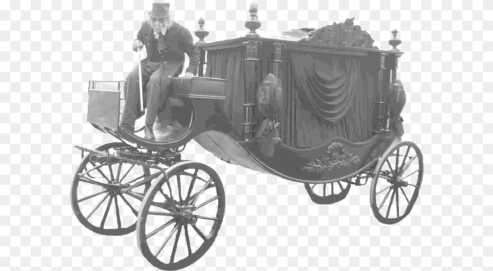 Carriage Hearse, Vehicle, Transportation, Adult, Person Free Png Download