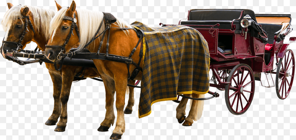 Carriage Horse And Buggy Free Png