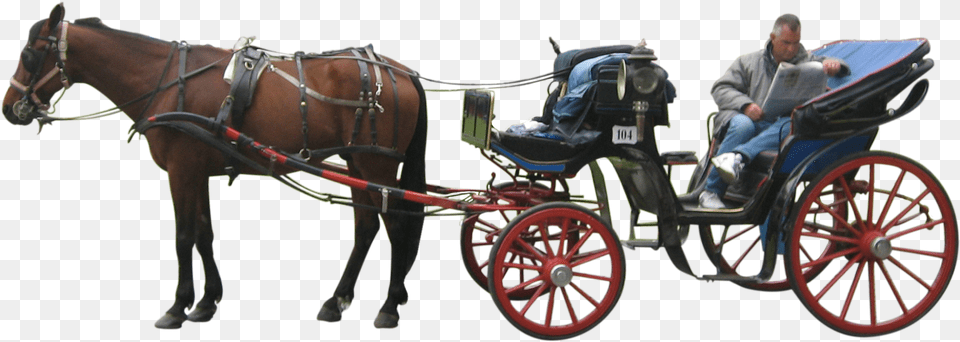 Carriage Horse Drawn Carriage, Adult, Person, Man, Male Png Image