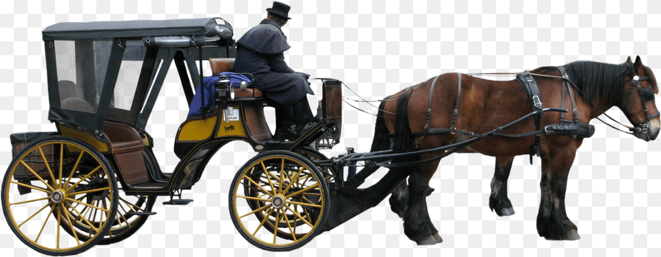 Carriage Horse Drawn Carriage, Adult, Person, Male, Man Free Png