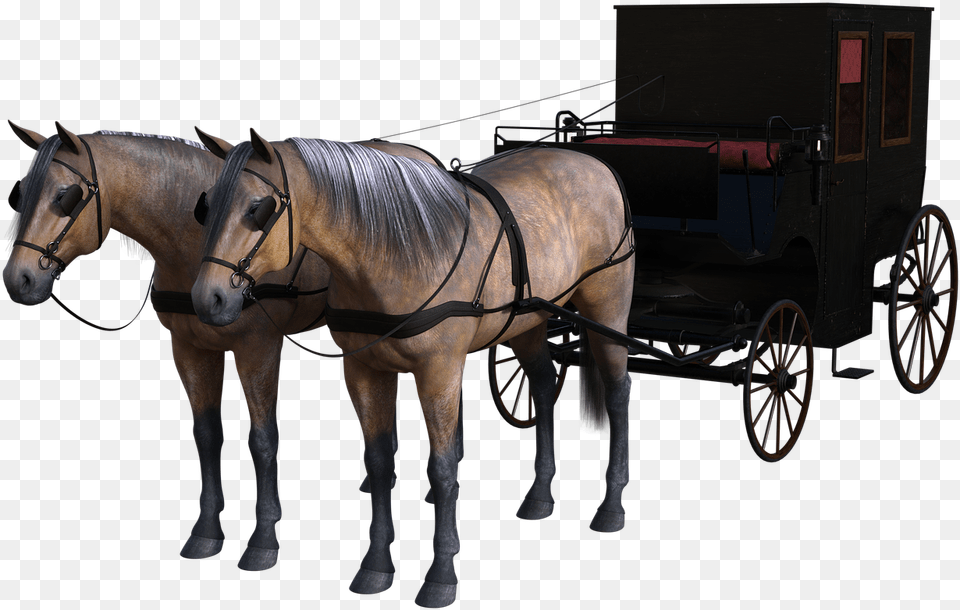 Carriage Horse Drawn Photo Horse Carriage Background, Wheel, Machine, Mammal, Animal Free Transparent Png