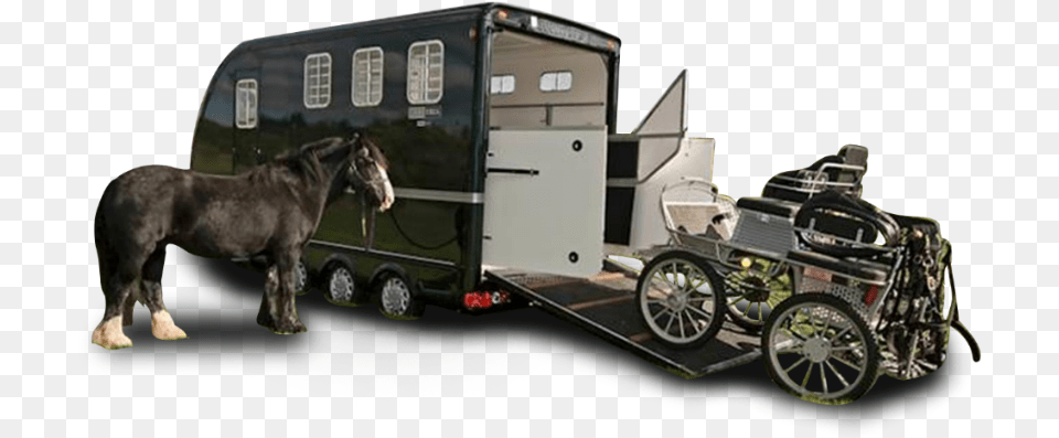 Carriage Treka Exterior Horse Trailer, Wheel, Machine, Spoke, Mammal Free Png Download