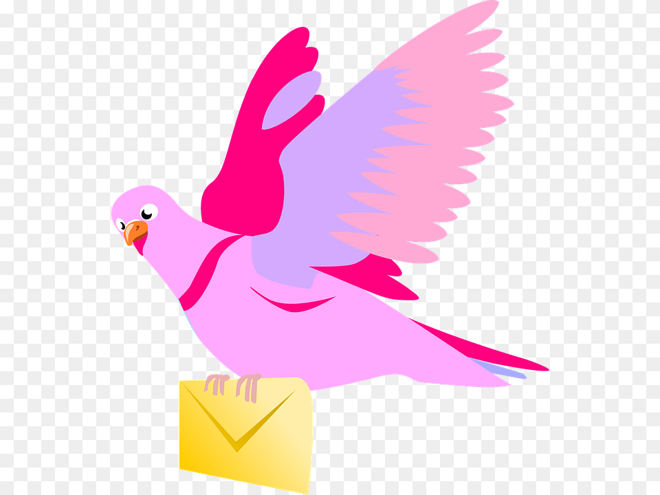Carrier Pigeon Letter Pink Love Valentine Fly Flying Pigeon Clipart, Animal, Bird, Parakeet, Parrot Free Transparent Png