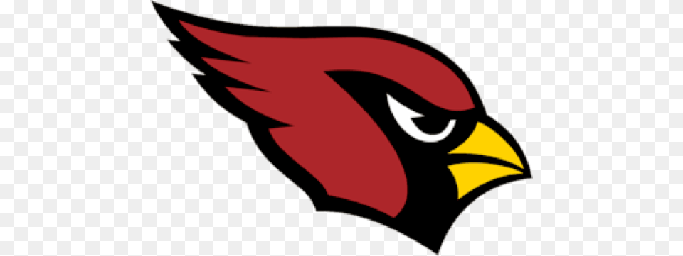 Carrington Cardinal Baseball Arizona Cardinals Logo, Animal, Beak, Bird, Fish Png