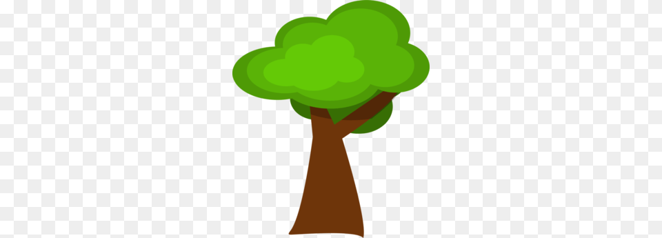 Carros Disney, Green, Plant, Tree, Person Png