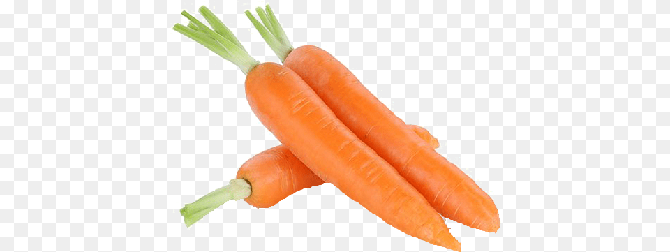 Carrot, Food, Plant, Produce, Vegetable Png Image