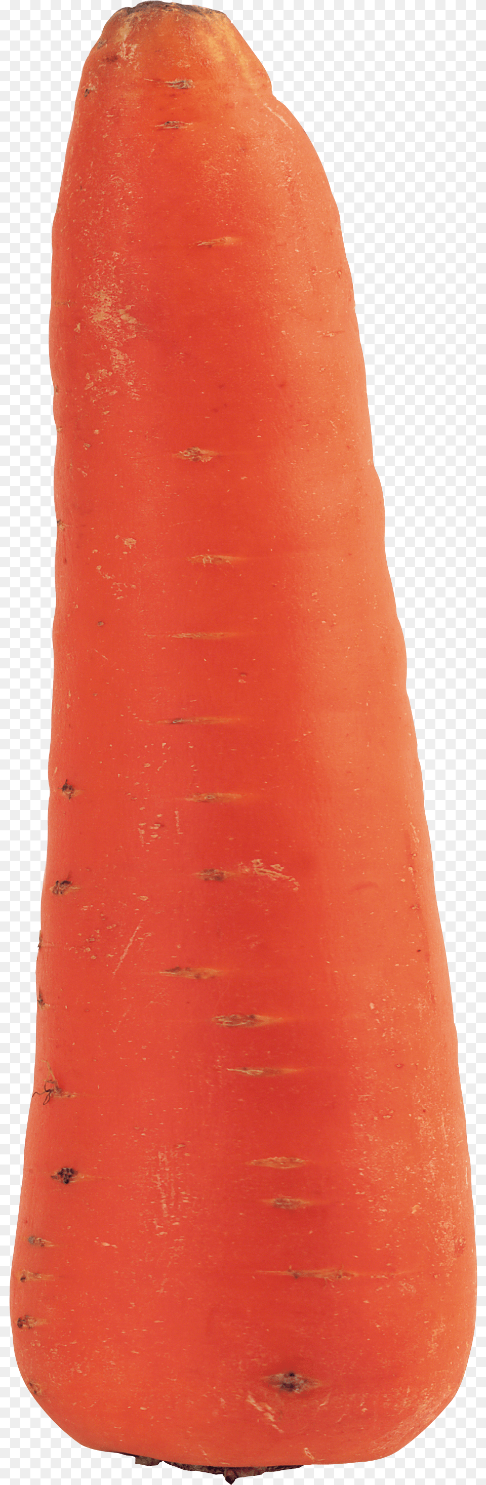 Carrot, Food, Plant, Produce, Vegetable Png