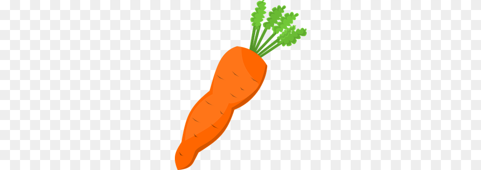 Carrot Food, Plant, Produce, Vegetable Free Transparent Png