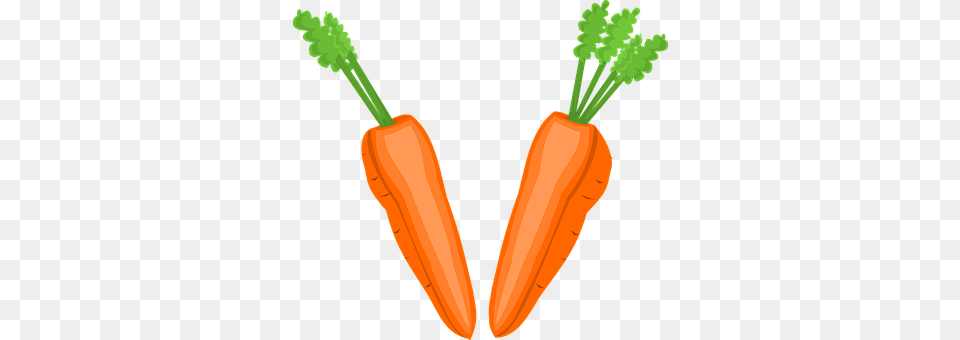 Carrot Food, Plant, Produce, Vegetable Free Png Download