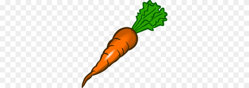 Carrot Food, Plant, Produce, Vegetable Free Transparent Png