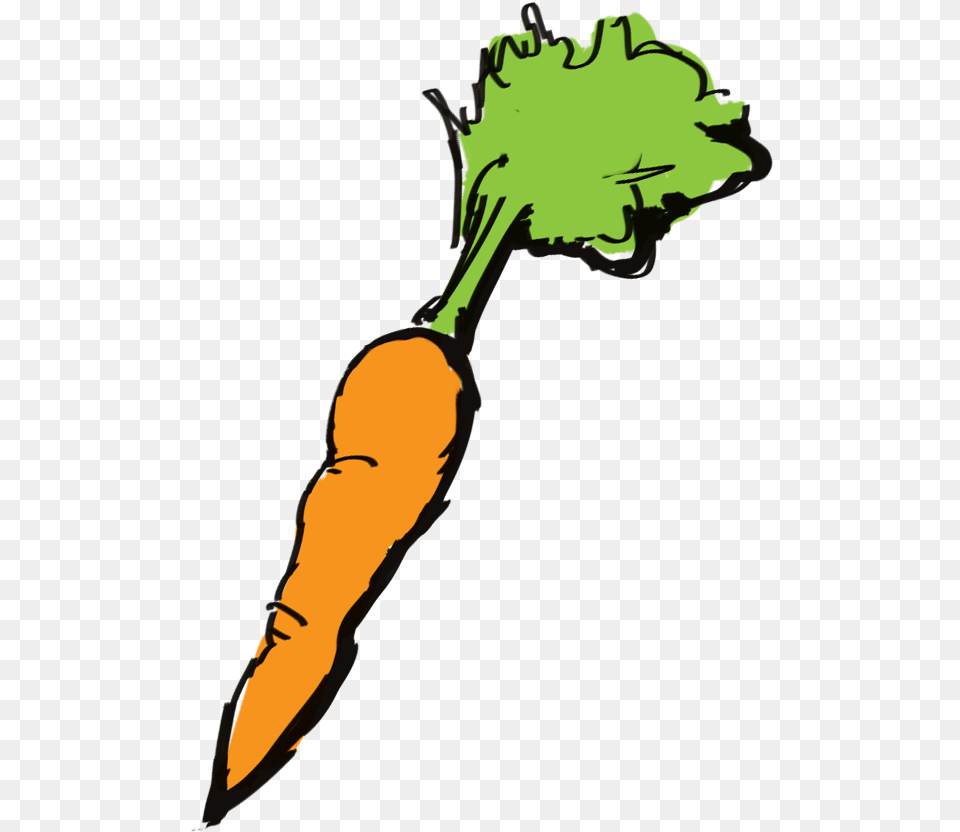 Carrot, Vegetable, Produce, Food, Plant Free Png