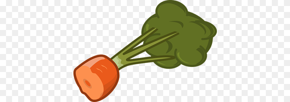 Carrot Food, Plant, Produce, Vegetable Png Image