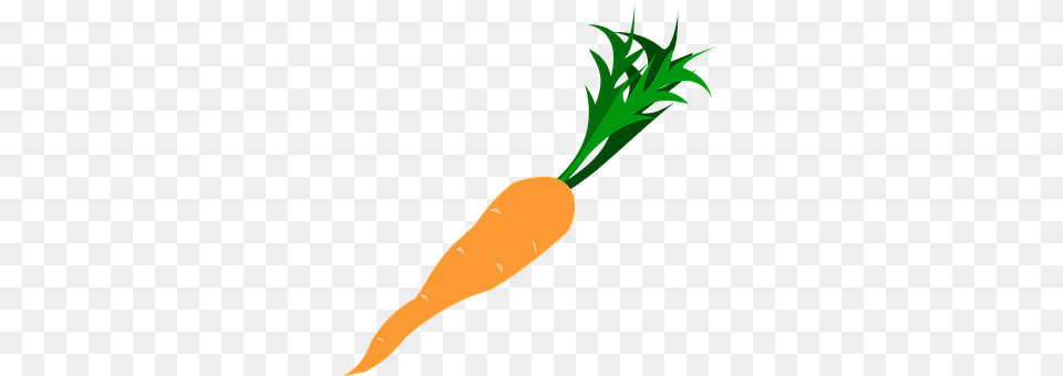 Carrot Food, Plant, Produce, Vegetable Free Png
