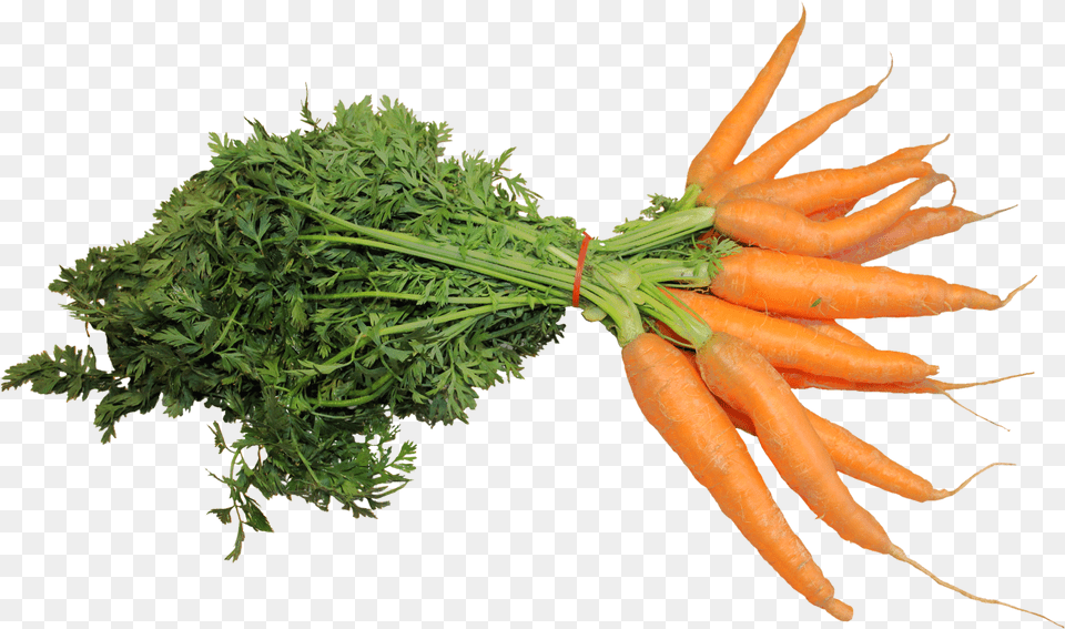 Carrot, Food, Plant, Produce, Vegetable Png Image