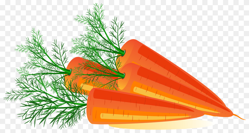 Carrot, Food, Plant, Produce, Vegetable Free Transparent Png